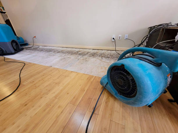 Professional Structural Drying technician working in Adelphi, MD